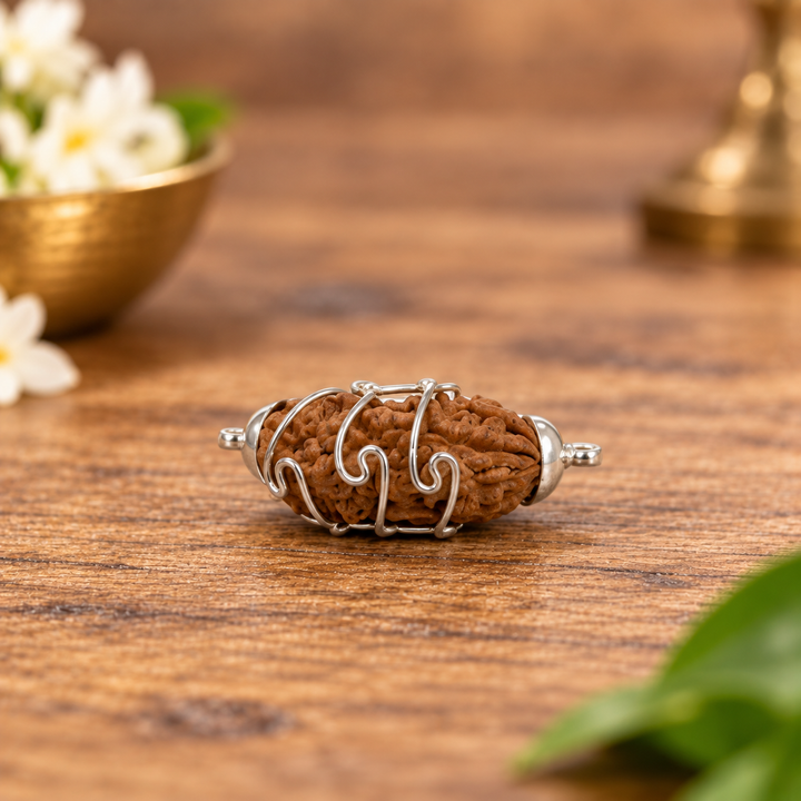 1 Mukhi Rudraksha Bead