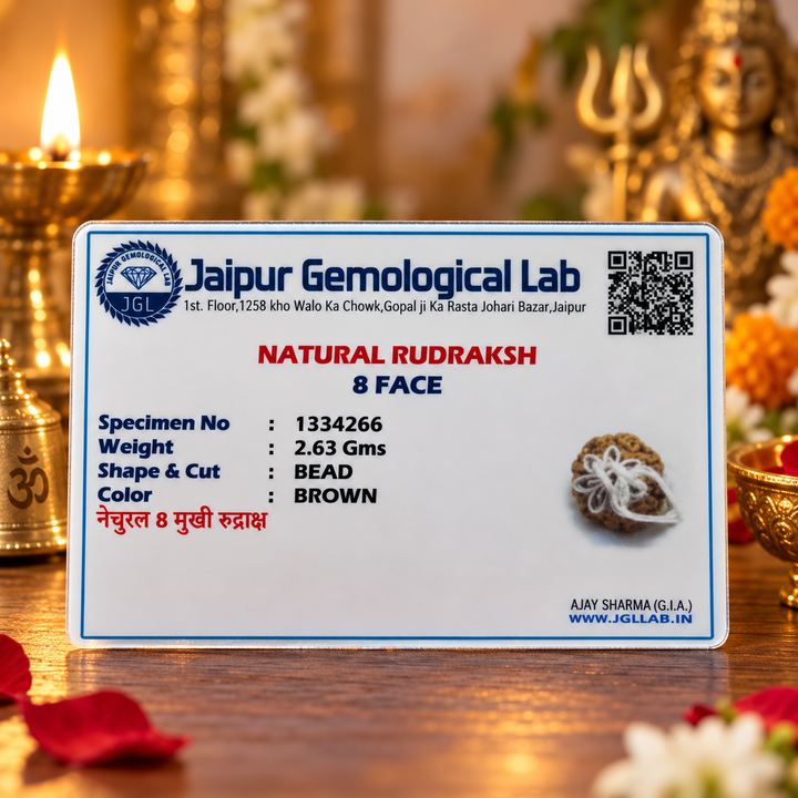 8 Mukhi Rudraksha Bead