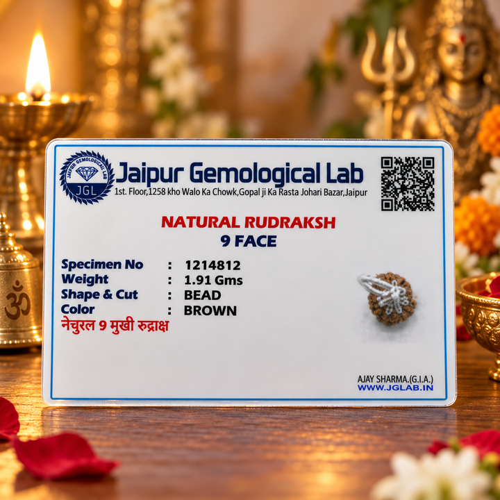 9 Mukhi Rudraksha Bead