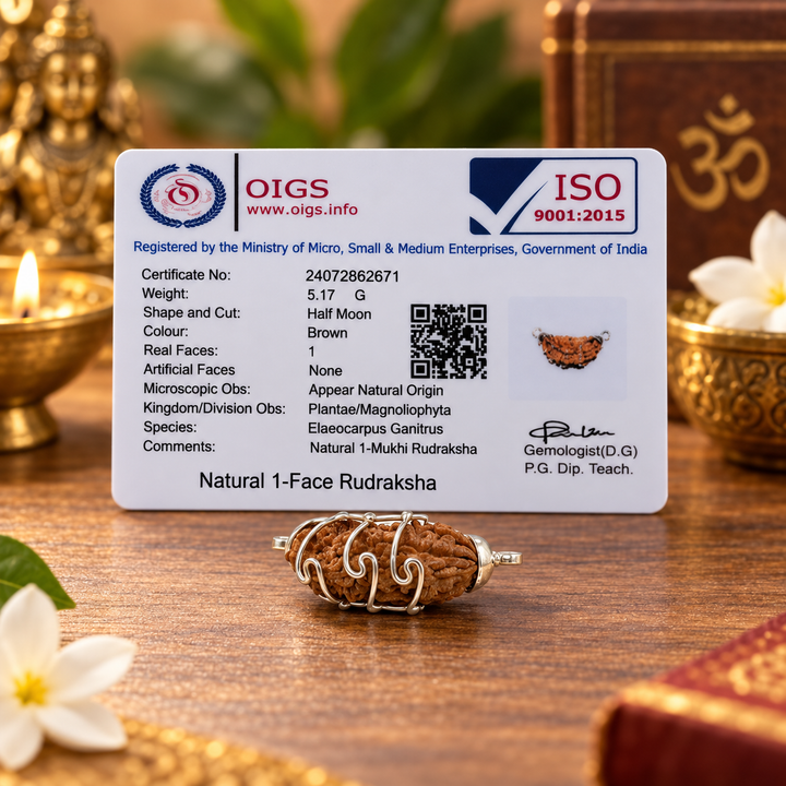 1 Mukhi Rudraksha Bead
