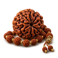 Rudraksha & Malas